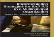 Multinational SAP Implementation