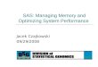 Managing Memory in SAS (1)