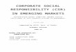 Dissertation Report on Corporate Social Responsibility in Emerging Markets1