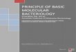 Principles of Basic Molecular Bacteriology e Book 1
