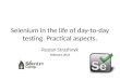 Selenium in the life of day-to-day testing. Practical aspects