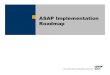 SAP ASAP process OverviSAP ASAP process Overviewew.pdf