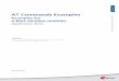 At Commands Examples Application Note WLS-CS-11003
