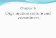 ACCA F1/ CAT FAB - Chapter 6 Organisation culture and committees.pdf