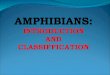 Classification of Amphibians