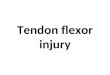 Tendon Flexor Injury ZED