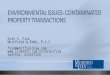 Environmental Issues - Contaminated Property Transactions