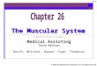 Muscular System.ppt2