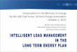 Intelligent Load Management in the Long Term Energy Plan