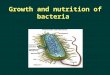 Growth and nutrition of bacteria.ppt