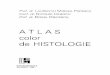 Atlas Color