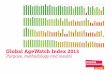 Global AgeWatch Index 2013: Purpose, methodology and results