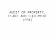 Audit of Property, Plant and Equipment (