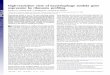 High-Resolution View of Bacteriophage Lambda Gene
