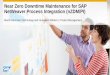 Near-Zero Downtime Software Maintenance (nZDM) for SAP NetWeaver Process Integration
