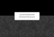 6.- Anastomosis Intestinales