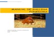 Manual de gallina ponedora.pdf