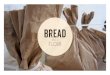 Bread Edition2
