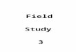 Field Study Activities 3