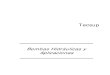 TECSUP 1texto1BOMBAS HIDRAULICAS.pdf