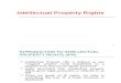 Intellectual Property Rights Ppt Ks Doc 1