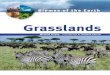 Biomes of the Earth-grasslands
