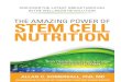 The Amazing Power of STEM CELL NUTRITION