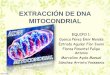 EXTRACCIÓN DE DNA MITOCONDRIAL modificada.pdf