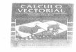 Calculo Vectorial_Pita Ruiz