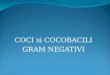 Cocobacili Gram Negativi