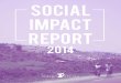 Indego Africa - Social Impact Report (2014)