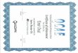Certificate Qualcomm Intro Mentor DA October 2008