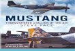 Mustang - Thoroughbred Stallion of the Air