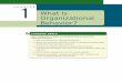 Chapter1 What is Organizational Behavior