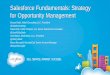 Dreamforce 2013 Salesforce Fundamentals: Strategy for Opportunity Management