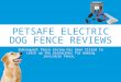 Petsafe electric dog fence