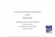 Curse of Dimensionality and Big Data