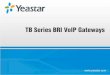 Yeastar TB BRI VoIP Gateways—Refresh and Restart