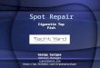 Spot repair
