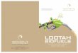 Company Profile- Lootah Bio fuel L.L.C