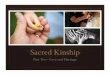 Sacred Kinship Part 2