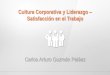 Cultura corporativa y liderazgo – satisfacción en el trabajo