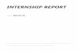 Haitong Internship Report