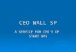 Ceo wall sp