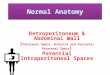 Peritoneum , Intraperitoneal Spaces