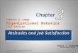 Chapter 3 Attitudes and Job Satisfaction