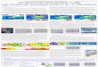 Poster: THE SOUTH EAST ASIAN AEROSOL PLUME