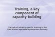 Training, a key component of capacity building