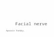 Facial nerve by Dr. Apoorv