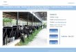 Dairy Industry in India: Represent the Growth of Value Added Products